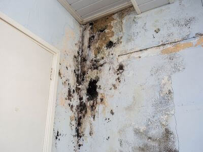 About water damage cleanup - ceiling water damage repair experts in Conroe