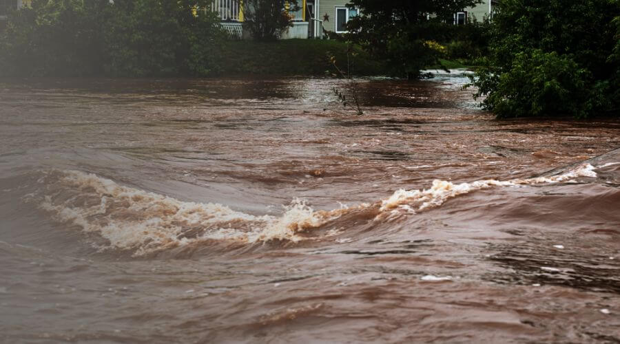 Why choose water damage cleanup for ceiling water damage repair in Conroe